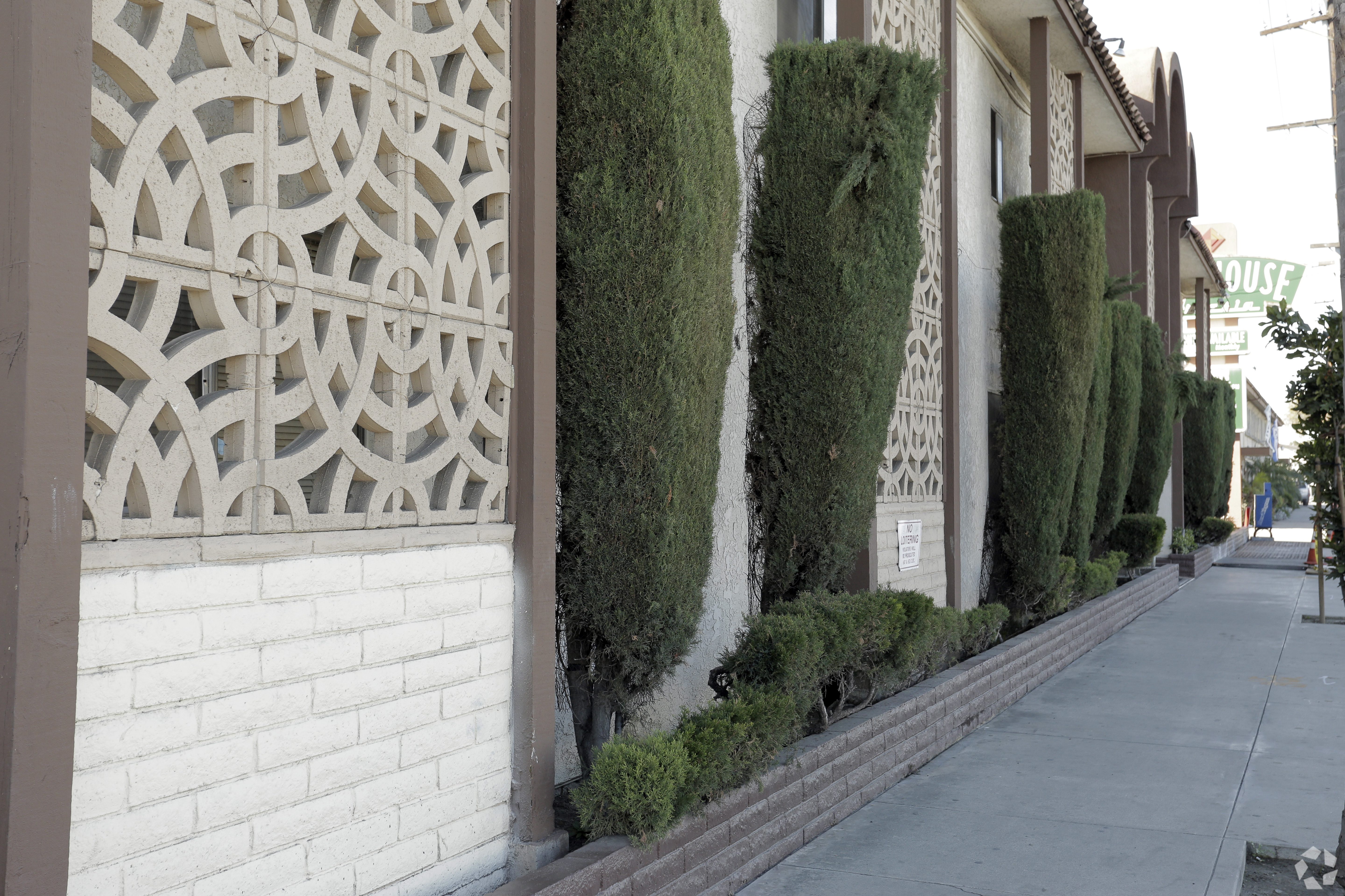 A row of green bushes are trimmed to look like a wall.
